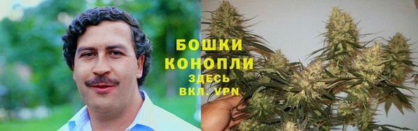 трава Армянск