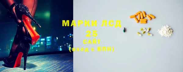 молекула духа Новозыбков
