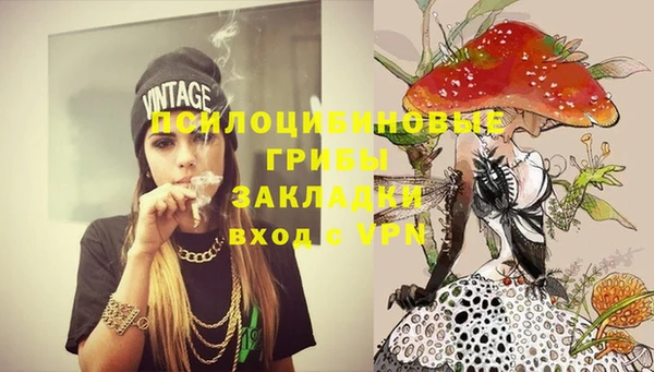 эйфоретик Новодвинск