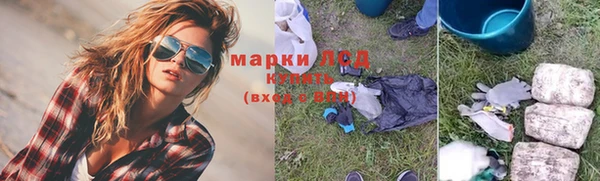 молекула духа Новозыбков